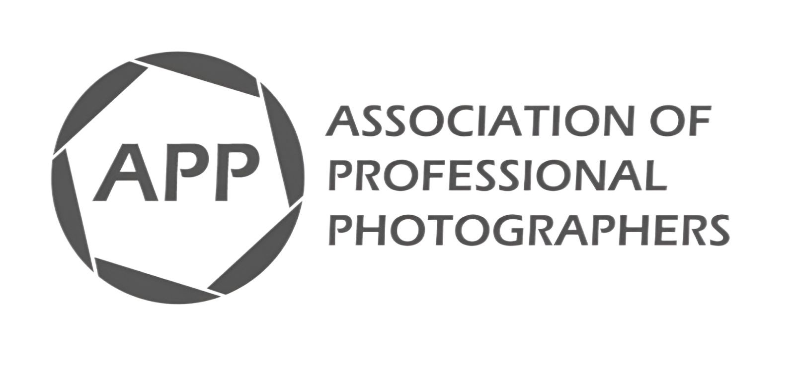 Асоциация на професионалните фотографи (АПФ)